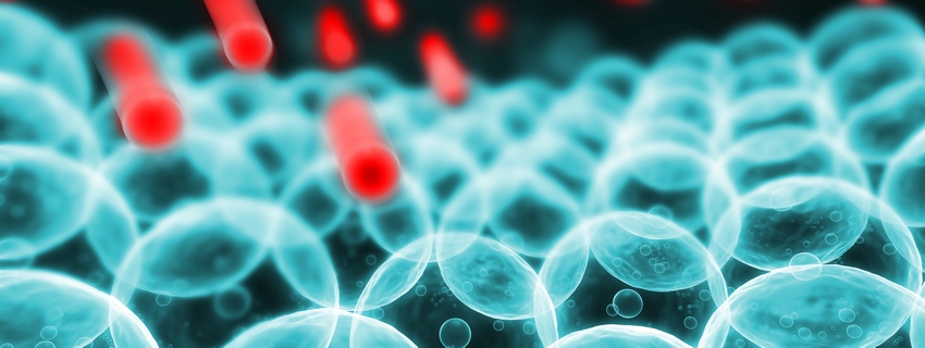 Voľné radikály priamo vedú k oxidačnému stresu.