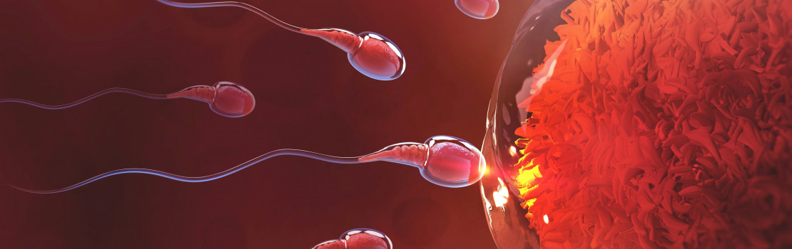 ako-zlepsit-kvalitu-spermii