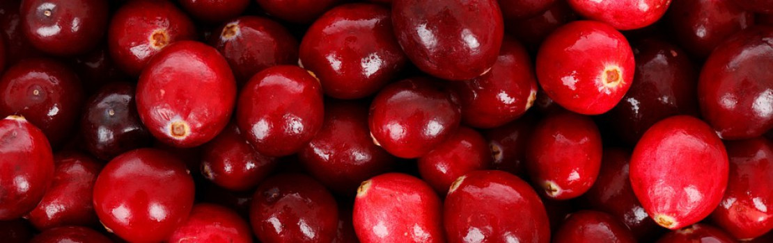Hľadáte silný antioxidant? Skúste brusnice. Čím sú ešte výnimočné?