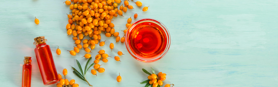 7-zdravotnych-benefitov-uzivania-rakytnika