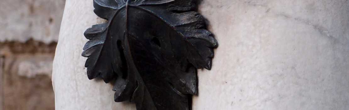 6 zaujímavostí, ktoré ste nevedeli  o mužskom penise